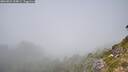 ./images/calvert/foggy-cove/20260825/foggy-cove20260825_134001M.jpg