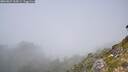 ./images/calvert/foggy-cove/20260825/foggy-cove20260825_134501M.jpg