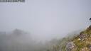 ./images/calvert/foggy-cove/20260825/foggy-cove20260825_135001M.jpg