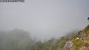 ./images/calvert/foggy-cove/20260825/foggy-cove20260825_135502M.jpg