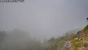 ./images/calvert/foggy-cove/20260825/foggy-cove20260825_140001M.jpg