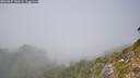 ./images/calvert/foggy-cove/20260825/foggy-cove20260825_140501M.jpg