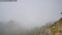 ./images/calvert/foggy-cove/20260825/foggy-cove20260825_141501M.jpg