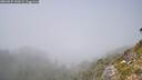 ./images/calvert/foggy-cove/20260825/foggy-cove20260825_142002M.jpg