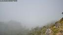./images/calvert/foggy-cove/20260825/foggy-cove20260825_142501M.jpg