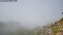 ./images/calvert/foggy-cove/20260825/foggy-cove20260825_143001M.jpg
