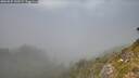./images/calvert/foggy-cove/20260825/foggy-cove20260825_143501M.jpg