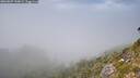 ./images/calvert/foggy-cove/20260825/foggy-cove20260825_144002M.jpg