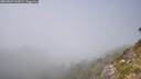 ./images/calvert/foggy-cove/20260825/foggy-cove20260825_144501M.jpg