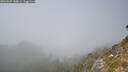 ./images/calvert/foggy-cove/20260825/foggy-cove20260825_145001M.jpg