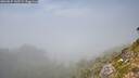 ./images/calvert/foggy-cove/20260825/foggy-cove20260825_145501M.jpg