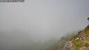 ./images/calvert/foggy-cove/20260825/foggy-cove20260825_151501M.jpg