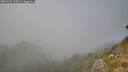 ./images/calvert/foggy-cove/20260825/foggy-cove20260825_152001M.jpg