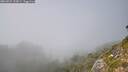 ./images/calvert/foggy-cove/20260825/foggy-cove20260825_153001M.jpg