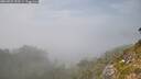 ./images/calvert/foggy-cove/20260825/foggy-cove20260825_153501M.jpg