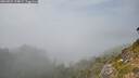 ./images/calvert/foggy-cove/20260825/foggy-cove20260825_154002M.jpg