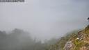 ./images/calvert/foggy-cove/20260825/foggy-cove20260825_154501M.jpg