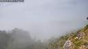 ./images/calvert/foggy-cove/20260825/foggy-cove20260825_155001M.jpg