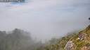 ./images/calvert/foggy-cove/20260825/foggy-cove20260825_155501M.jpg