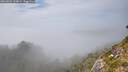 ./images/calvert/foggy-cove/20260825/foggy-cove20260825_160001M.jpg