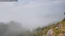 ./images/calvert/foggy-cove/20260825/foggy-cove20260825_160501M.jpg