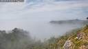 ./images/calvert/foggy-cove/20260825/foggy-cove20260825_161001M.jpg