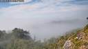 ./images/calvert/foggy-cove/20260825/foggy-cove20260825_162001M.jpg