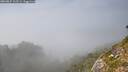 ./images/calvert/foggy-cove/20260825/foggy-cove20260825_162501M.jpg