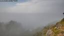 ./images/calvert/foggy-cove/20260825/foggy-cove20260825_163001M.jpg
