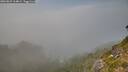 ./images/calvert/foggy-cove/20260825/foggy-cove20260825_164001M.jpg