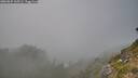 ./images/calvert/foggy-cove/20260825/foggy-cove20260825_165501M.jpg