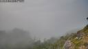 ./images/calvert/foggy-cove/20260825/foggy-cove20260825_170501M.jpg