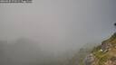 ./images/calvert/foggy-cove/20260825/foggy-cove20260825_172502M.jpg