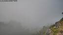 ./images/calvert/foggy-cove/20260825/foggy-cove20260825_173001M.jpg