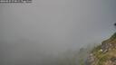 ./images/calvert/foggy-cove/20260825/foggy-cove20260825_174502M.jpg