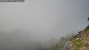 ./images/calvert/foggy-cove/20260825/foggy-cove20260825_175001M.jpg