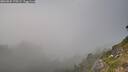 ./images/calvert/foggy-cove/20260825/foggy-cove20260825_175501M.jpg