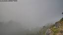 ./images/calvert/foggy-cove/20260825/foggy-cove20260825_180501M.jpg