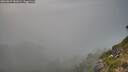 ./images/calvert/foggy-cove/20260825/foggy-cove20260825_181001M.jpg