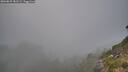 ./images/calvert/foggy-cove/20260825/foggy-cove20260825_181501M.jpg