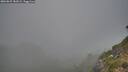 ./images/calvert/foggy-cove/20260825/foggy-cove20260825_182001M.jpg