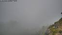./images/calvert/foggy-cove/20260825/foggy-cove20260825_182501M.jpg