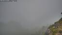 ./images/calvert/foggy-cove/20260825/foggy-cove20260825_183001M.jpg