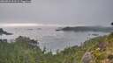 ./images/calvert/foggy-cove/20260825/foggy-cove20260825_191501M.jpg