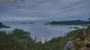 ./images/calvert/foggy-cove/20260826/foggy-cove20260826_062001M.jpg