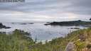 ./images/calvert/foggy-cove/20260826/foggy-cove20260826_073001M.jpg