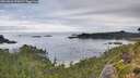 ./images/calvert/foggy-cove/20260826/foggy-cove20260826_075001M.jpg