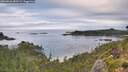 ./images/calvert/foggy-cove/20260826/foggy-cove20260826_080501M.jpg