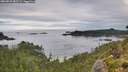 ./images/calvert/foggy-cove/20260826/foggy-cove20260826_082501M.jpg