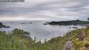 ./images/calvert/foggy-cove/20260826/foggy-cove20260826_085501M.jpg